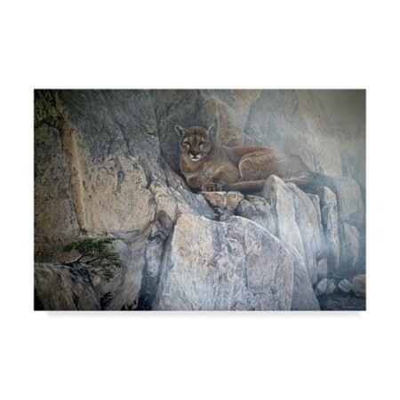 Ron Parker 'Mountain Mists Cougar' Canvas Art,16x24